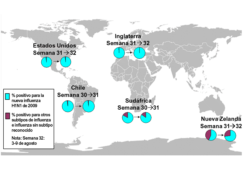 This is a map of the world that shows the co-circulation of novel 2009-H1N1 flu and seasonal influenza viruses. Seven countries are featured, including Canada, Brazil, Chile, England, South Africa, Australia (New South Wales) and New Zealand. For each of these countries, there is a pie chart that shows the percentage of laboratory confirmed influenza cases that have tested positive for either novel 2009-H1N1 flu or other influenza subtypes. Other influenza subtypes are being reported more commonly in the countries within the Southern Hemisphere because the flu season has already started there. South Africa and New South Wales, Australia have an asterisk next to them because the seasonal influenza strains that are circulating in these countries are mostly H3 subtype influenza viruses.