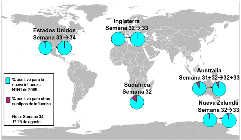 This is a map of the world that shows the co-circulation of 2009 H1N1 flu and seasonal influenza viruses. Seven countries are featured, including Canada, Brazil, Chile, England, South Africa, Australia (New South Wales) and New Zealand. For each of these countries, there is a pie chart that shows the percentage of laboratory confirmed influenza cases that have tested positive for either 2009 H1N1 flu or other influenza subtypes. Other influenza subtypes are being reported more commonly in the countries within the Southern Hemisphere because the flu season has already started there. South Africa and New South Wales, Australia have an asterisk next to them because the seasonal influenza strains that are circulating in these countries are mostly H3 subtype influenza viruses.