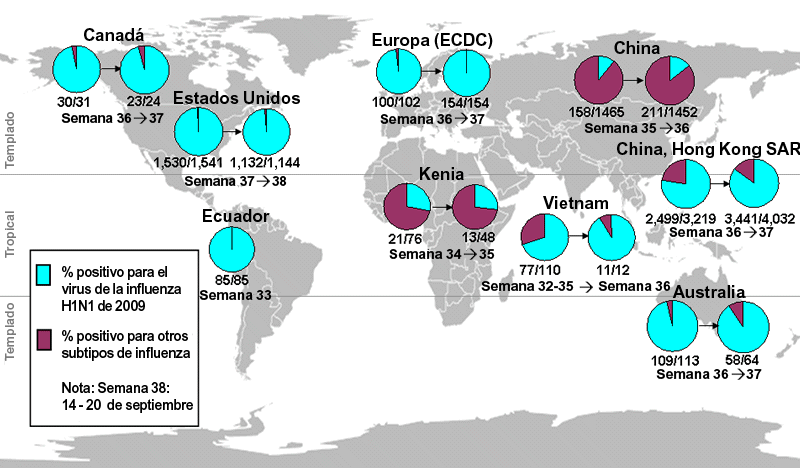 This picture depicts a map of the world that shows the co-circulation of 2009 H1N1 flu and seasonal influenza viruses. The United States, Canada, Ecuador, Europe, Australia, Kenya, Vietnam, China and Hong Kong (China) are depicted. There is a pie chart for each that shows the percentage of laboratory confirmed influenza cases that have tested positive for either 2009 H1N1 flu or other influenza subtypes. The majority of laboratory confirmed influenza cases reported in the United States, Canada, Ecuador, Europe, Australia, Vietnam and Hong Kong (China) are currently due to 2009 H1N1 influenza virus. However, the majority of laboratory confirmed influenza cases reported in China and Kenya are positive for other influenza subtypes.