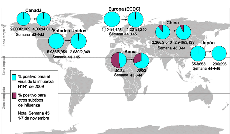 This picture depicts a map of the world that shows the co-circulation of 2009 H1N1 flu and seasonal influenza viruses. The United States, Canada, Europe, Kenya, Japan and China are depicted. There is a pie chart for each that shows the percentage of laboratory confirmed influenza cases that have tested positive for either 2009 H1N1 flu or other influenza subtypes. The majority of laboratory confirmed influenza cases reported in the United States, Canada, Europe, Japan and China have been 2009 H1N1 flu.