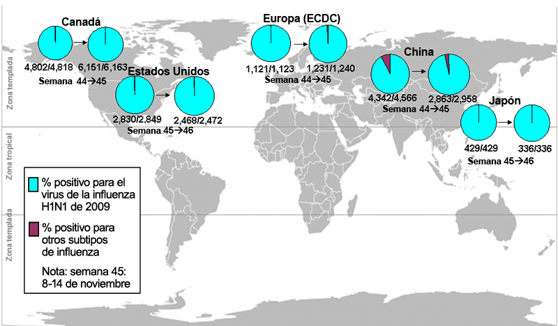This picture depicts a map of the world that shows the co-circulation of 2009 H1N1 flu and seasonal influenza viruses. The United States, Canada, Europe, Japan and China are depicted. There is a pie chart for each that shows the percentage of laboratory confirmed influenza cases that have tested positive for either 2009 H1N1 flu or other influenza subtypes. The majority of laboratory confirmed influenza cases reported in the United States, Canada, Europe, Japan and China have been 2009 H1N1 flu.