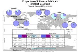 This picture depicts a map of the world that shows the co-circulation of 2009 H1N1 flu and seasonal influenza viruses. The United States, Canada, Europe, Japan and China are depicted. There is a pie chart for each that shows the percentage of laboratory confirmed influenza cases that have tested positive for either 2009 H1N1 flu or other influenza subtypes. The majority of laboratory confirmed influenza cases reported in the United States, Canada, Europe, and Japan have been 2009 H1N1 flu.
