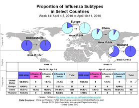 This picture depicts a map of the world that shows the co-circulation of 2009 H1N1 flu and seasonal influenza viruses. The United States, Europe, Thailand and China are depicted. There is a pie chart for each that shows the proportion of laboratory-confirmed influenza cases that have tested positive for either 2009 H1N1 flu or other influenza subtypes. The majority of laboratory-confirmed influenza cases reported in the United States and Thailand have been 2009 H1N1 flu.

