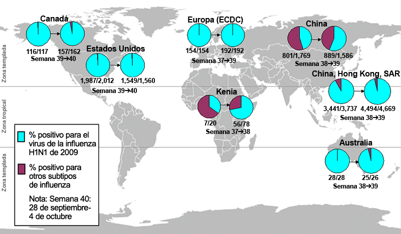 This picture depicts a map of the world that shows the co-circulation of 2009 H1N1 flu and seasonal influenza viruses. The United States, Canada, Europe, Australia, Vietnam, Kenya, China and Hong Kong (China) are depicted. There is a pie chart for each that shows the percentage of laboratory confirmed influenza cases that have tested positive for either 2009 H1N1 flu or other influenza subtypes. The majority of laboratory confirmed influenza cases reported in the latest week for the United States, Canada, Europe, Australia, Vietnam, Kenya, Hong Kong (China), and China are currently due to 2009 H1N1 influenza virus. 
