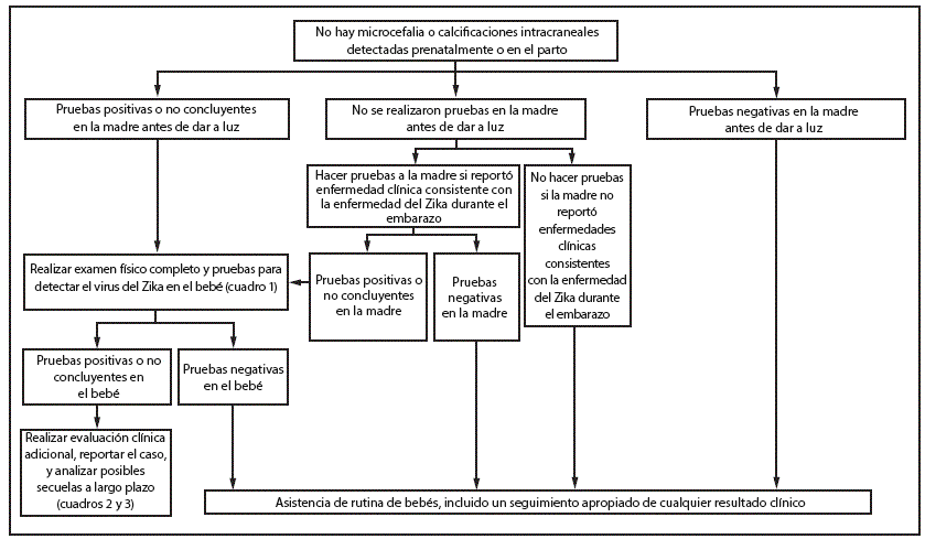 The figure above is a flowchart showing interim guidelines for the evaluation and testing of infants without microcephaly or intracranial calcifications whose mothers traveled to or resided in an area with Zika virus transmission during pregnancy.