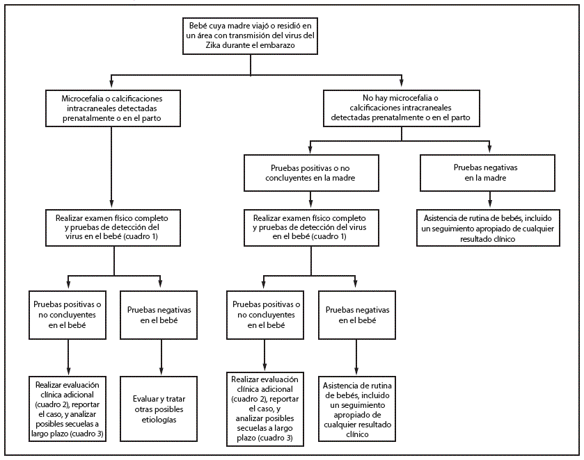 The figure above is a flowchart showing updated interim guidance for a testing algorithm for the evaluation and testing of infants whose mothers traveled to or resided in an area with ongoing Zika virus transmission during pregnancy.