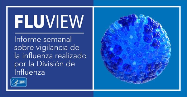 FluView A Weekly Influenza Surveillance Report Prepared by the Influenza Division