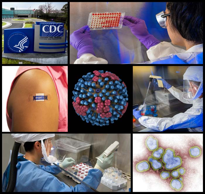 collage of images, cdc sign, lab worker looking a samples, arm with band aid, virus illustration, worker testing samples, lab worker testing samples, flu virus