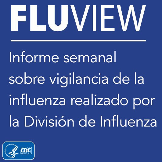 FluView es un informe semanal sobre vigilancia de la influenza realizado por la División de Influenza