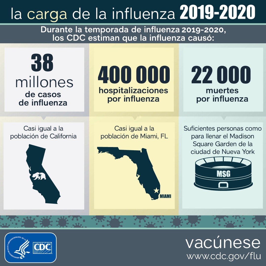 La carga de la influenza: 2019-2020