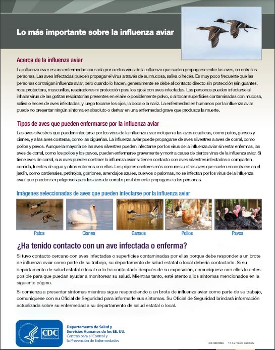 Lo que debe saber acerca de la influenza aviar pdf