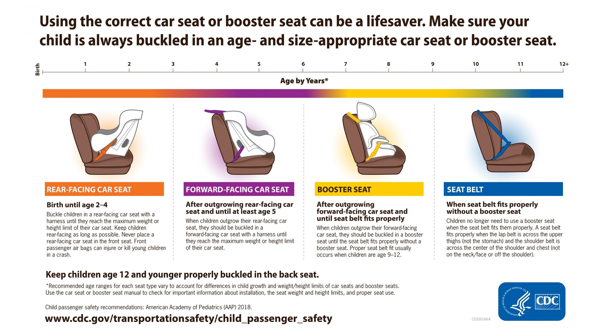 Child passenger safety graphic