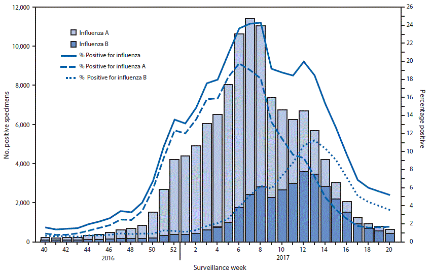 The figure above is a combination line and bar chart showing the number and percentage of respiratory specimens testing positive for influenza reported by clinical laboratories in the United States during October 2, 2016–May 20, 2017, by influenza virus type and surveillance week.