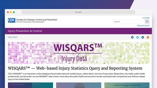 Image of the WISQARS Injury Data webpage
